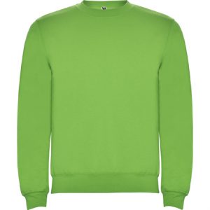[TEST] Sudadera SIN Capucha Verde Oasis